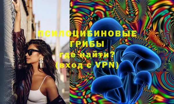 spice Бронницы